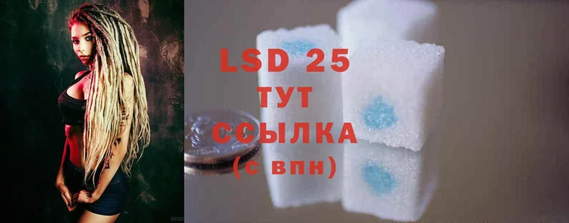 купить закладку  Костомукша  ЛСД экстази ecstasy 